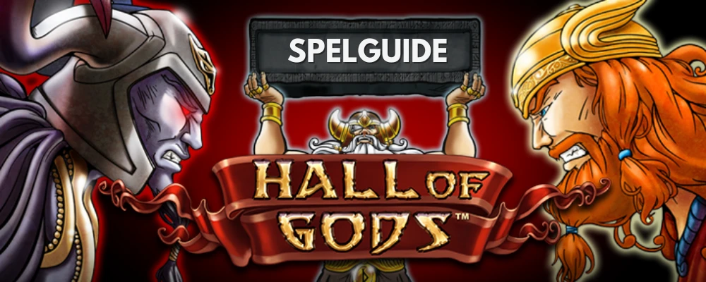 Hall of Gods slots logo med två vikingar som tittar argt på varandra och en annan viking emellan som håller upp en skylt där det står Spelguide