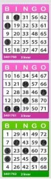 paf bingo bingobricka