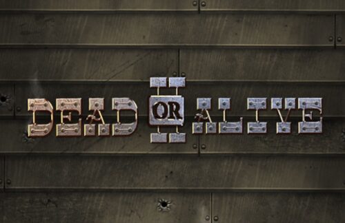 Dead or Alive 2 slot