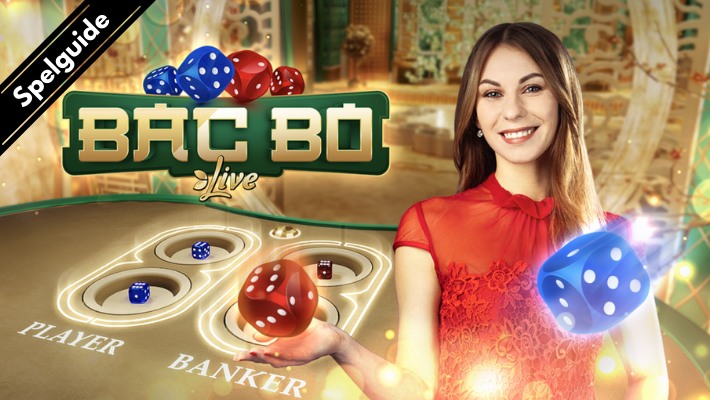 Bac Bo Live dealer och banner med texten Spelguide