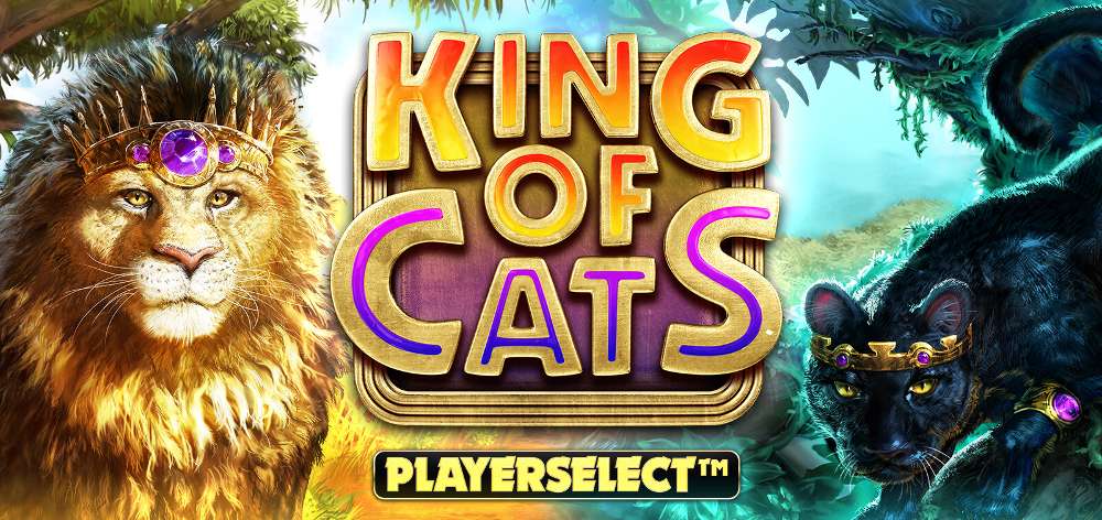 Kings of Cats online slot.