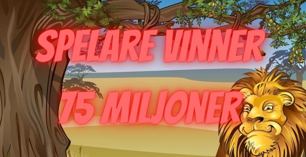 mega moolah lejonet med texten "spelare vinner 75 miljoner"