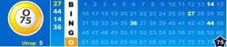 Unibet bingo utropskarta