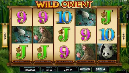 Wild Orient videoslot