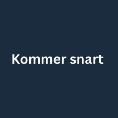 Viking logotyp